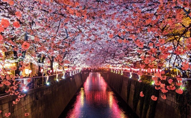 Japan Kanto Hishima Tour