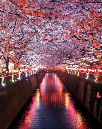 Japan, Singapore & Malaysia Tour