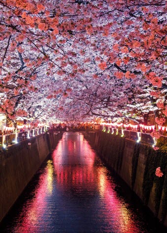 Wonderful China Tour