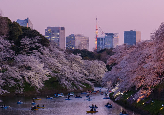 Travel Packages to Asia, Peru and Costa Rica