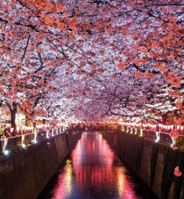 Asia Travel Packages